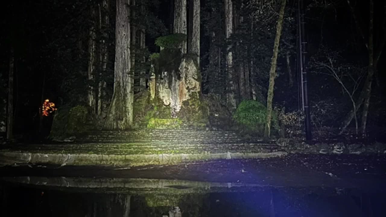 IT'S ALL AROUND US- LETS TAKE A LOOK INSIDE B0HEMIAN GR0VE