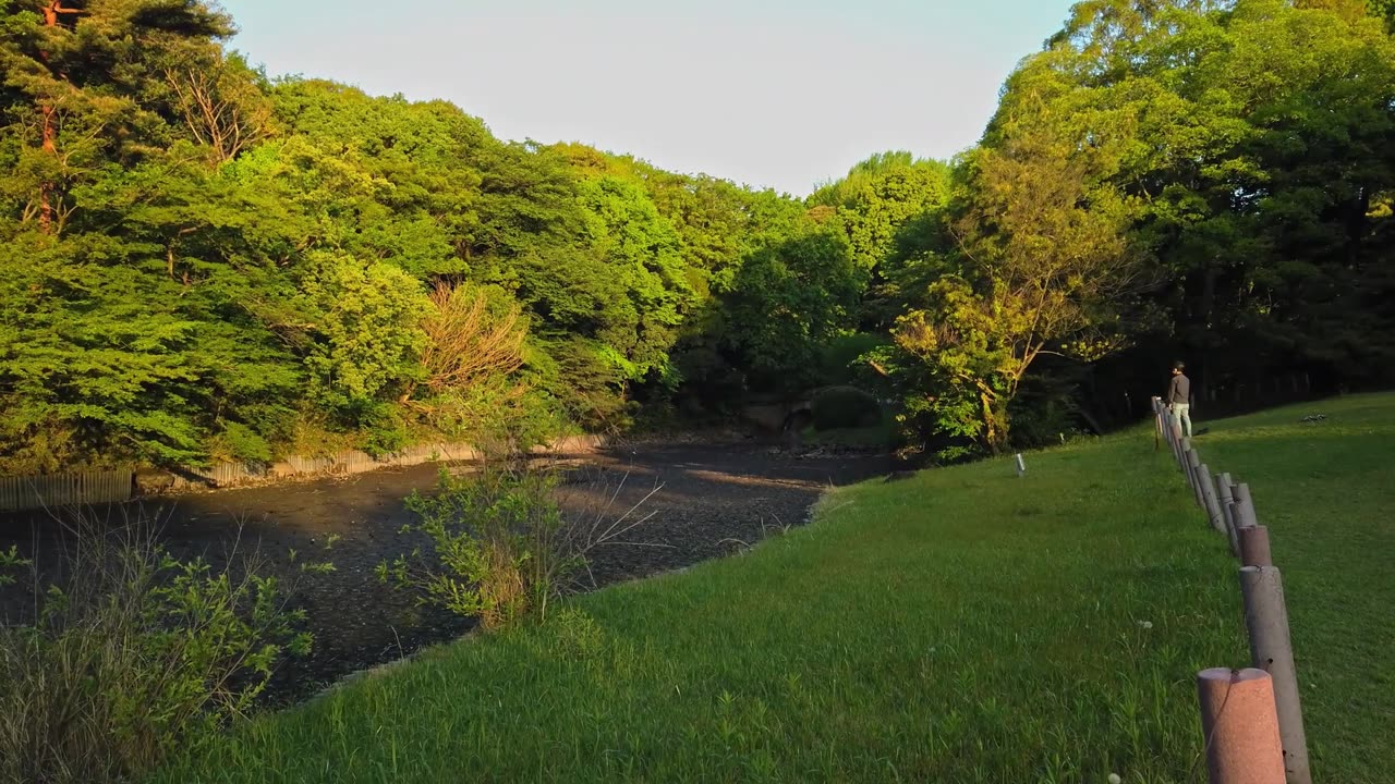 Beyond the Skyscrapers: Meiji Jingu's Cultural Essence