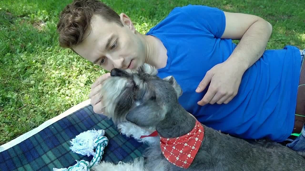 Boy lying on blanket and feeding his cute dog, steadycam shot