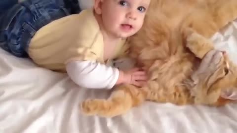 Baby and cats Funny moments Charming ANIMAL COMPILATION | Pets that Will Make Your Day 100% Better