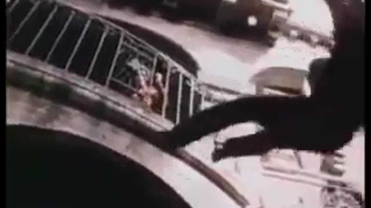 Black Samurai The Movie