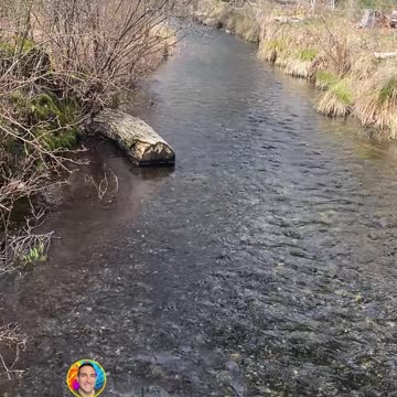 DOES THIS BRING YOU PEACE?