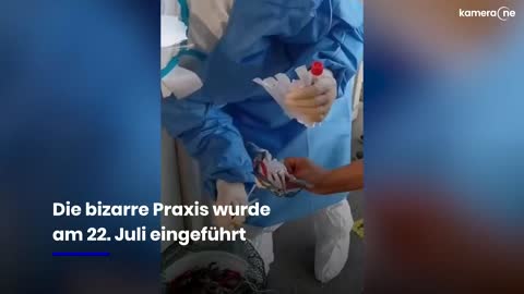 in-china-werden-meeresbewohner-auf-covid-getestet