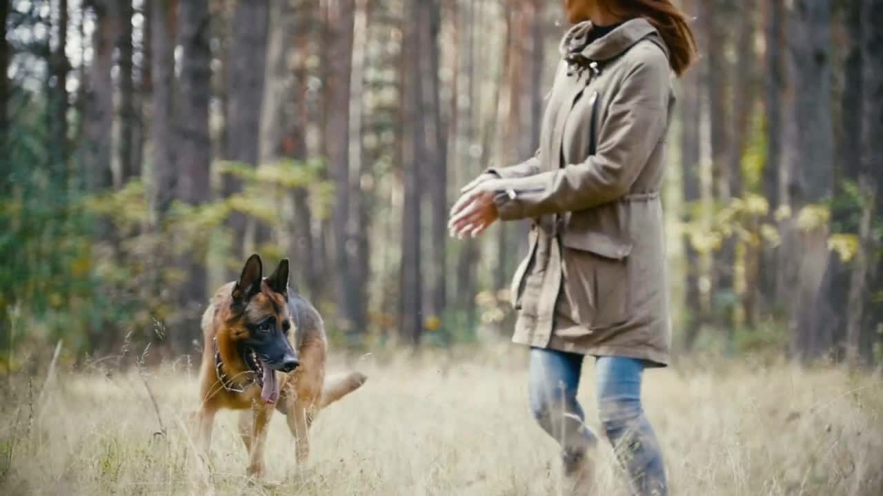 Young woman running with a shepherd dog in autumn forest