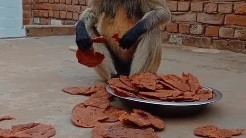 Enjoy eating