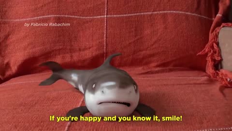 2021 Baby shark happy shark funny shark cute baby animals reactions 2021