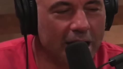 Joe Rogan Experience