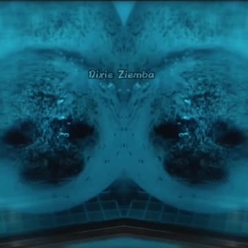 When life gets hectic, just keep swimming 🌊🐬