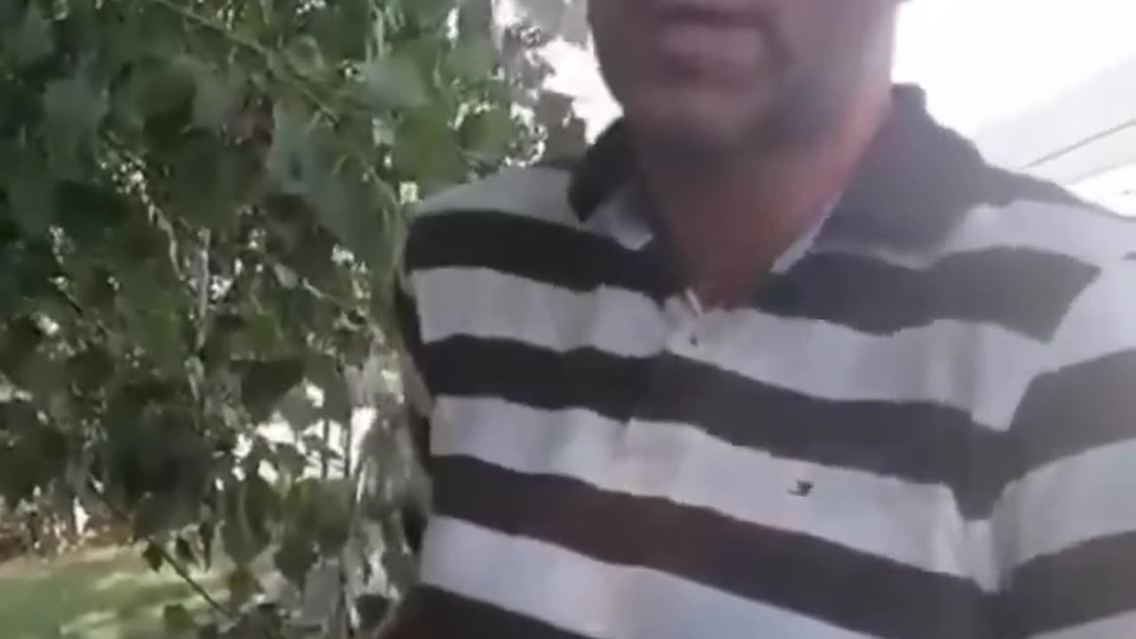 A rendszerőrség védelme alatt hatékonyabban lehet rabolni