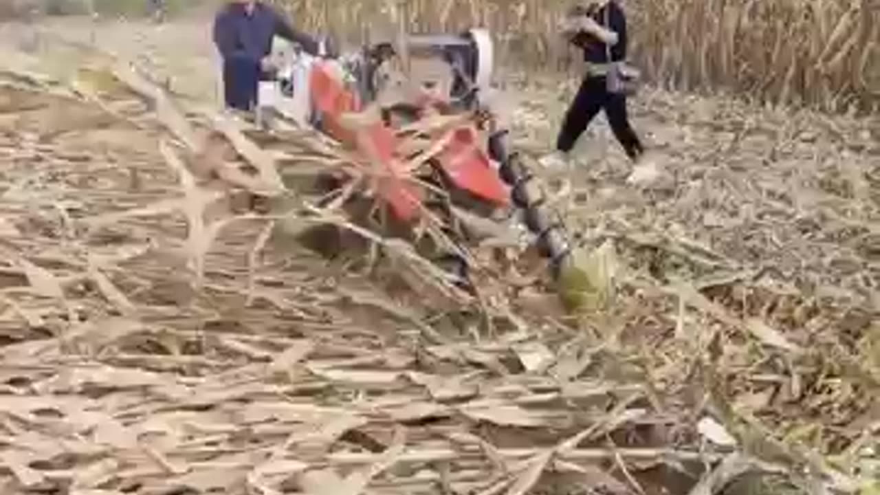 Hot Items Agricultural Technician Corn Harvester
