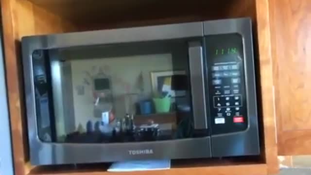 Toshiba EM131A5C BS Microwave Oven Review