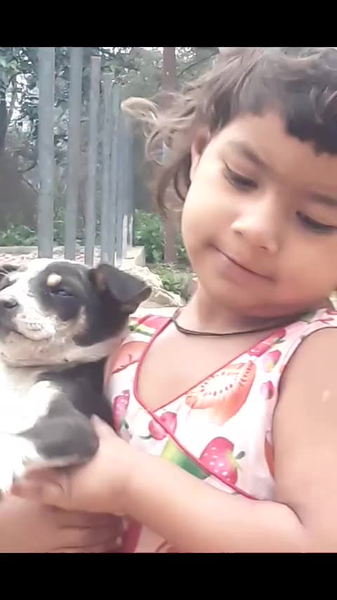 Indian viral baby and dog funny video