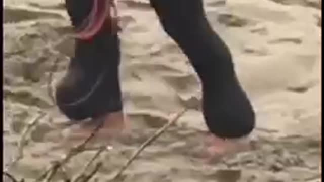 Wetsuit guy carries blue surfboard up sand hill