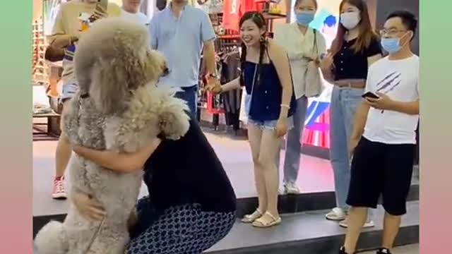 66_ Cute and Funny Dog Video🐕🐕 _#short 2021