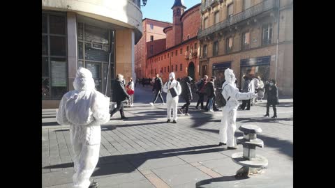 Les Masques BLancs Toulouse ACtion Pancartes le 22 Janvier 2022