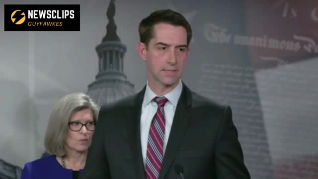 Senator Tom Cotton Slams Joe Biden 'There Is No Intelligence To Support This'