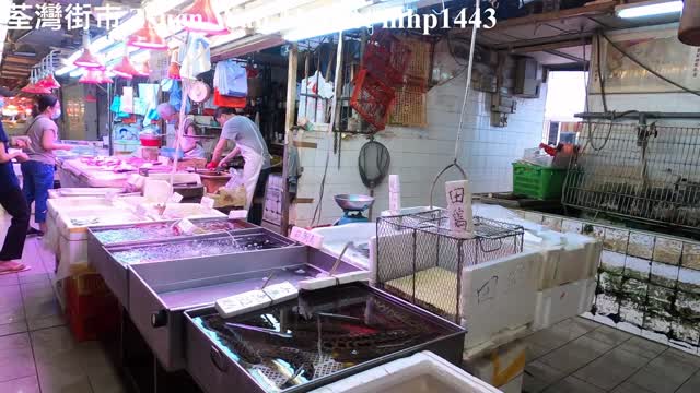 Tsuen Wan Market, 1981年啟用 荃灣街市 mhp1443, May 2021