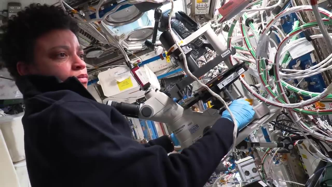 NASA's Space X Crew-7 mission to the Space Station