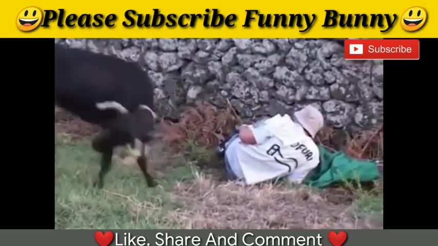 🤣 Funniest Car Accidents Compilation 2021