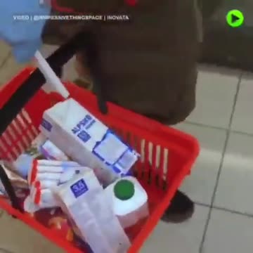 Utensili del covidiota/neanderthal