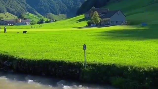 Give you 8w for a month. Without internet, would you like to live here
