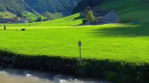 Give you 8w for a month. Without internet, would you like to live here