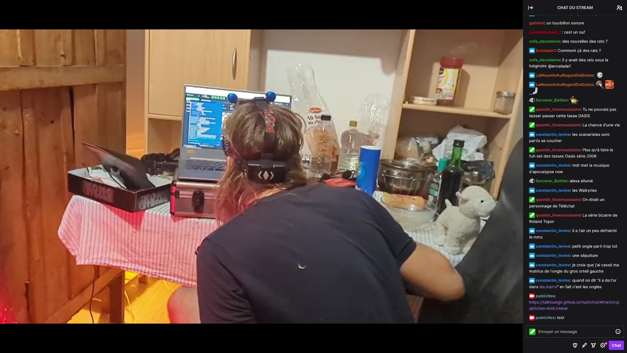 2023-06-25 (10bis.1) - Soirée petit ameublement et tri - Kick Triskel + Twitch Publicités (chat)