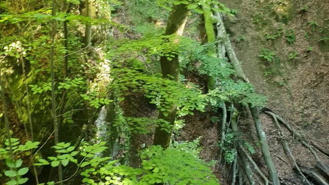 View from the eye of nature