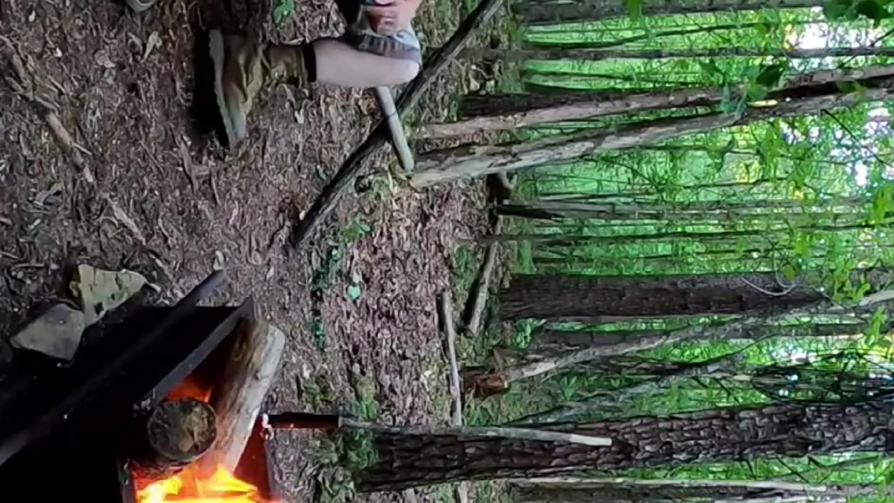 Bushcraft Camp in the Woods