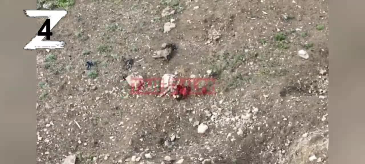 Ukraine Tries to Storm 4th brigade of the LPR