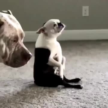 Sound On Is he really dancing