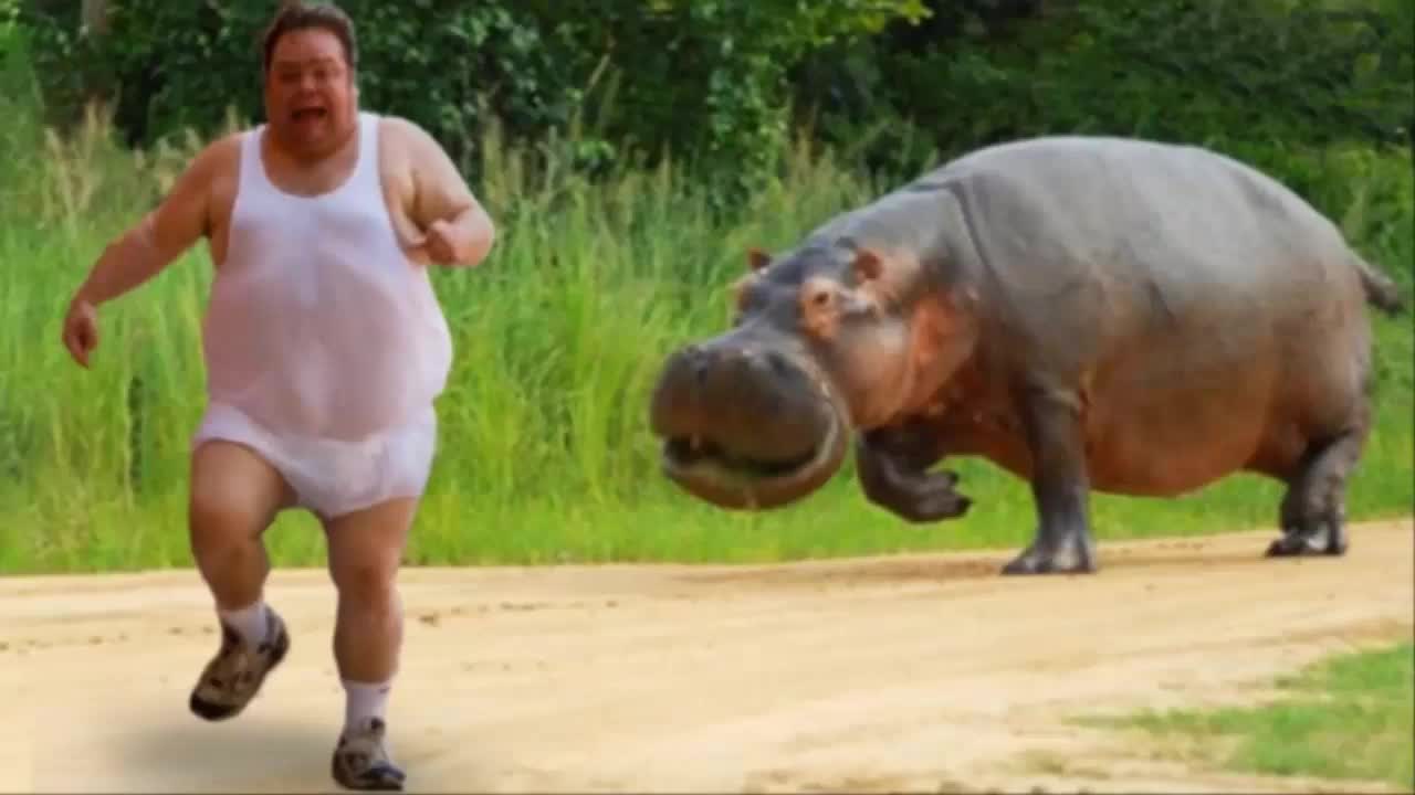 Hilarious animals chasing and scaring people 2021