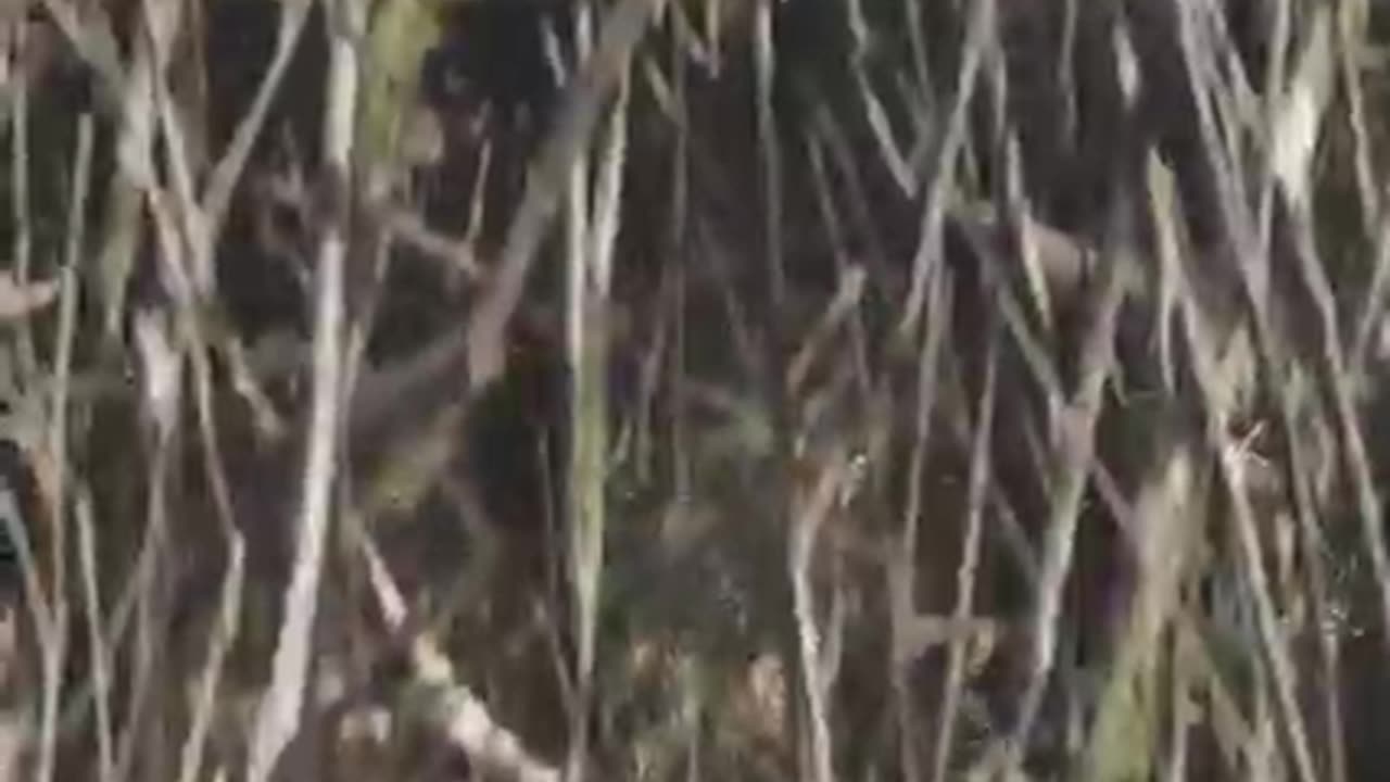 Best Hollywood action movie scene