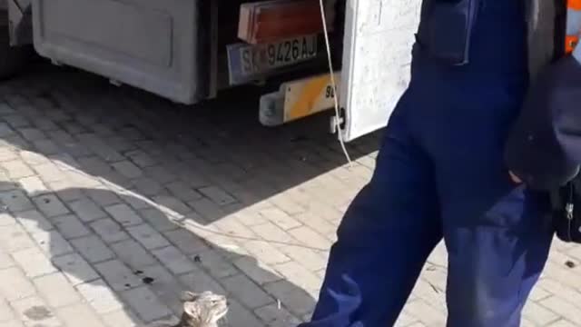 manual cat)))