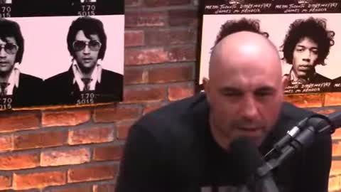 Joe Rogan's entire being condensed into 19 seconds