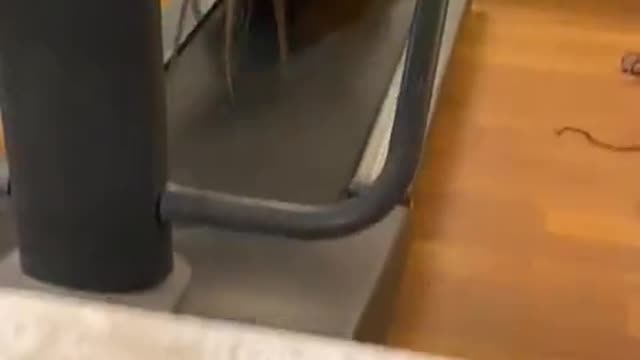 Treadmill is not for you