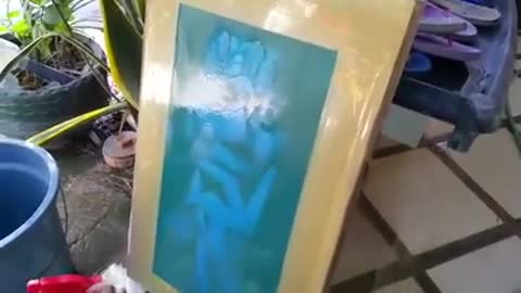 How to make a photographic silkscreen printing