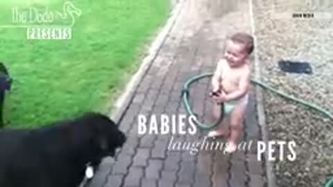 Baby happy with pets 😅