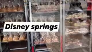 Disney springs