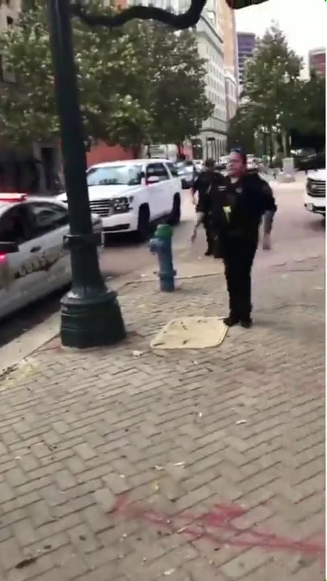 Dude Spits on Trump Flag, Speeds Off, Crashes into Pole