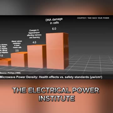 Was the First Pandemic Only the Beginning?