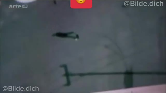 1,8 Milliarden Pixel Kamera