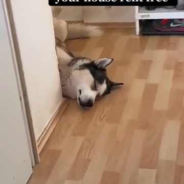 Show Me Someone that Lives in Your House Rent Free