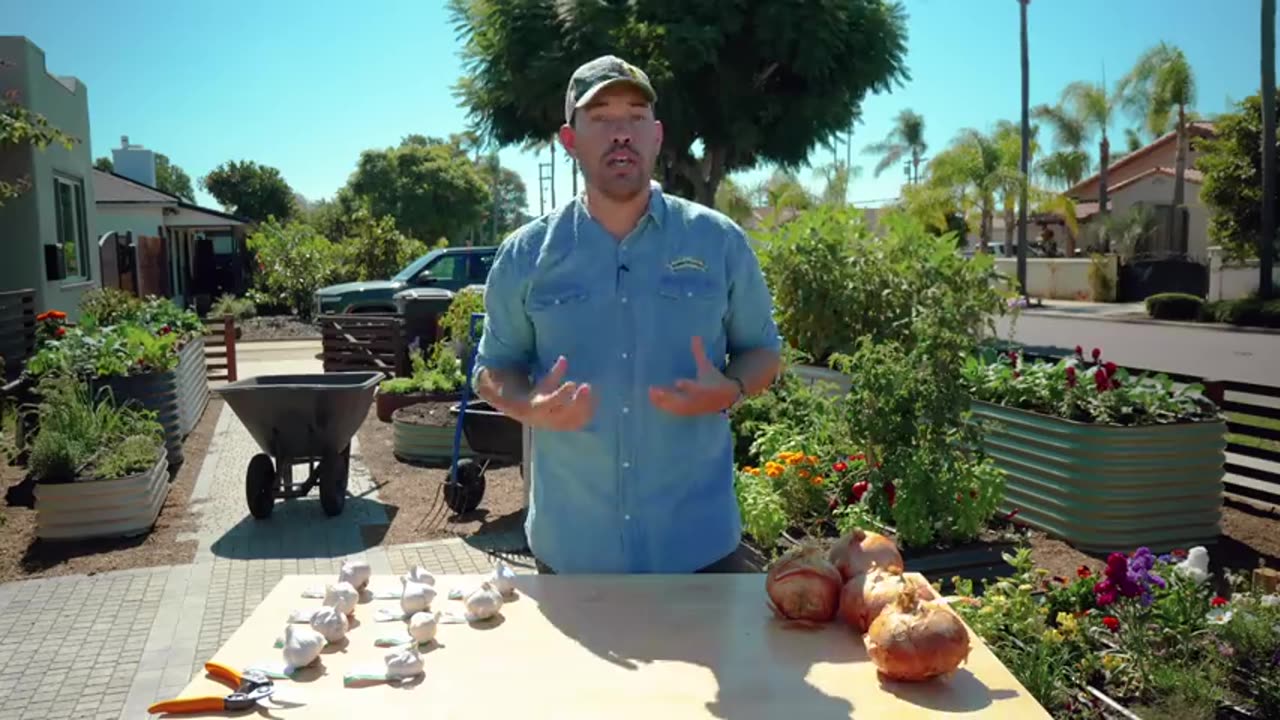 Watch This Before You Plant Garlic