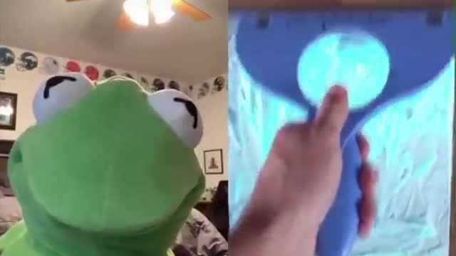 kermitontiktok funniest reactions | TikTok Compilation | Kermit on TikTok