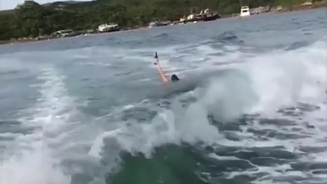 nice save