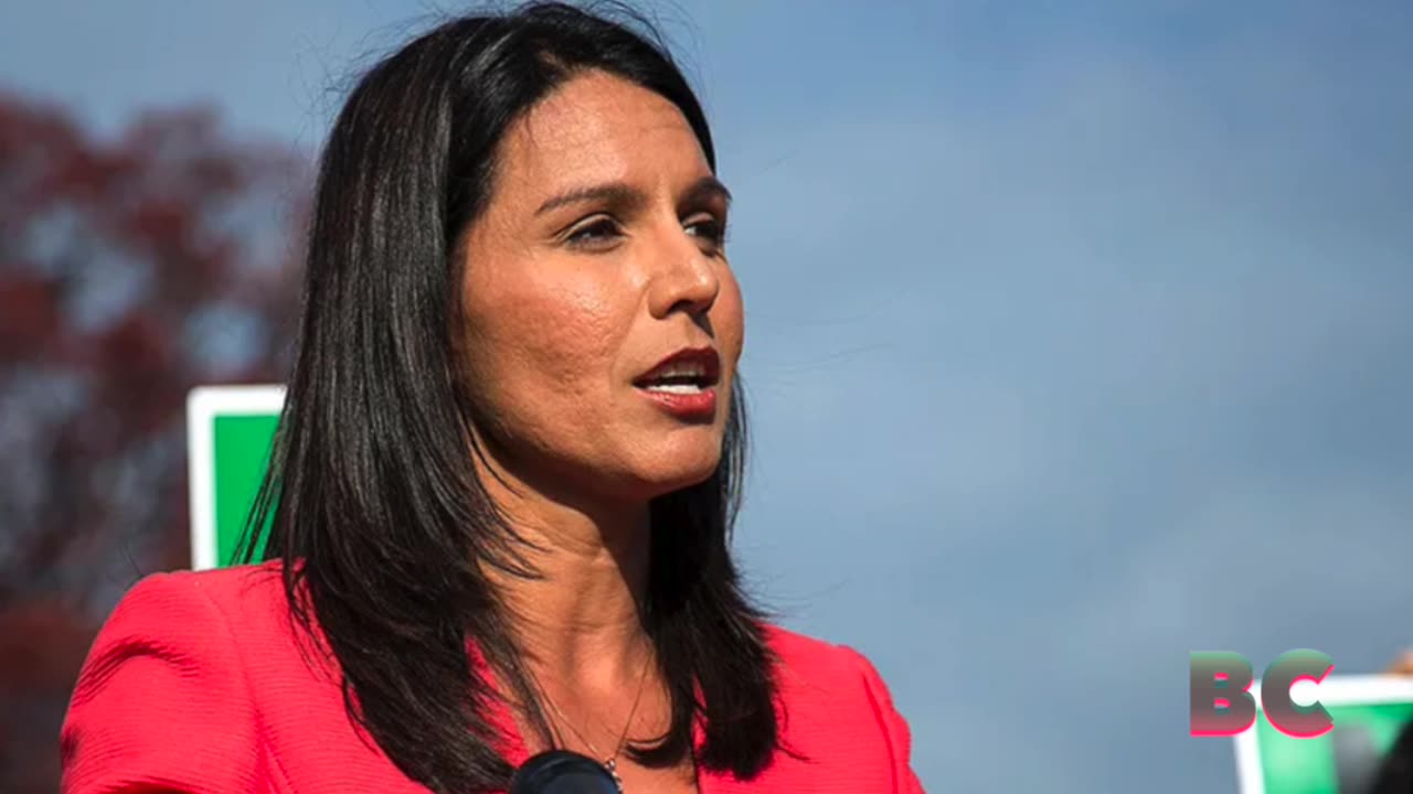 Tulsi Gabbard: Cheneys’ endorsements, Harris’s response ‘sickened me’