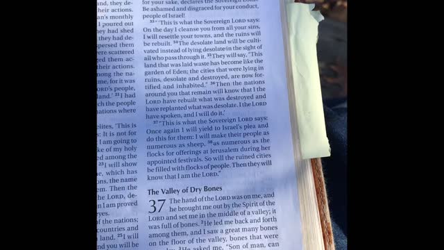 Dry Bones Get A New Lease On Life