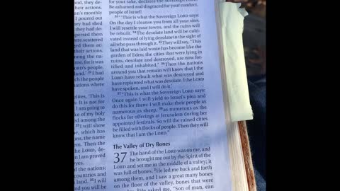 Dry Bones Get A New Lease On Life