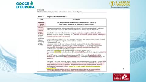 PFIZER - "I documenti desecretati rivelano una realtà opposta alla versione ufficiale!!"😱😱😱